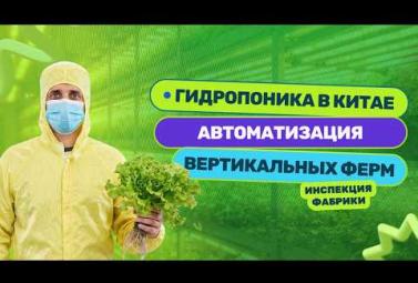 Embedded thumbnail for Гидропоника в Китае: Сколько стоит запустить вертикальную ферму в Китае?